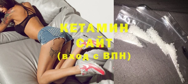 стаф Ельня