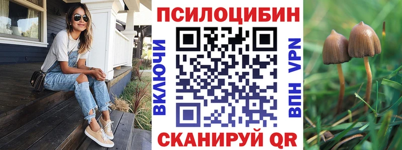 Псилоцибиновые грибы MAGIC MUSHROOMS продажа наркотиков Медногорск